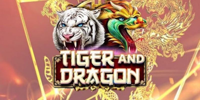 Điểm đặc biệt tạo nên sức hấp dẫn của casino rồng hổ